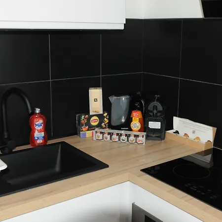 L'oracle Albinos Apartment Nîmes