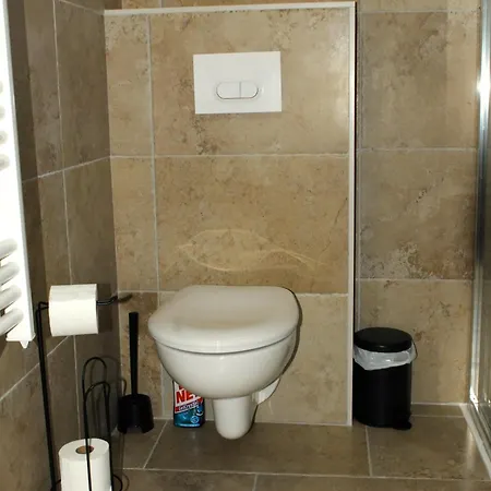 L'oracle Albinos Nîmes